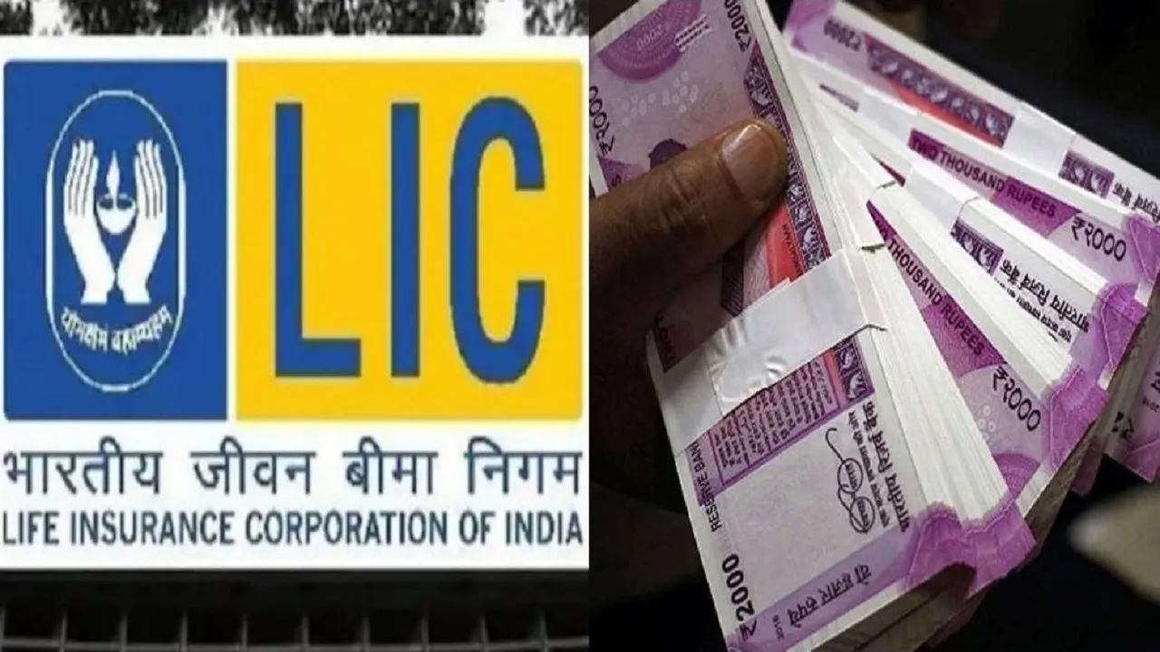 LIC News