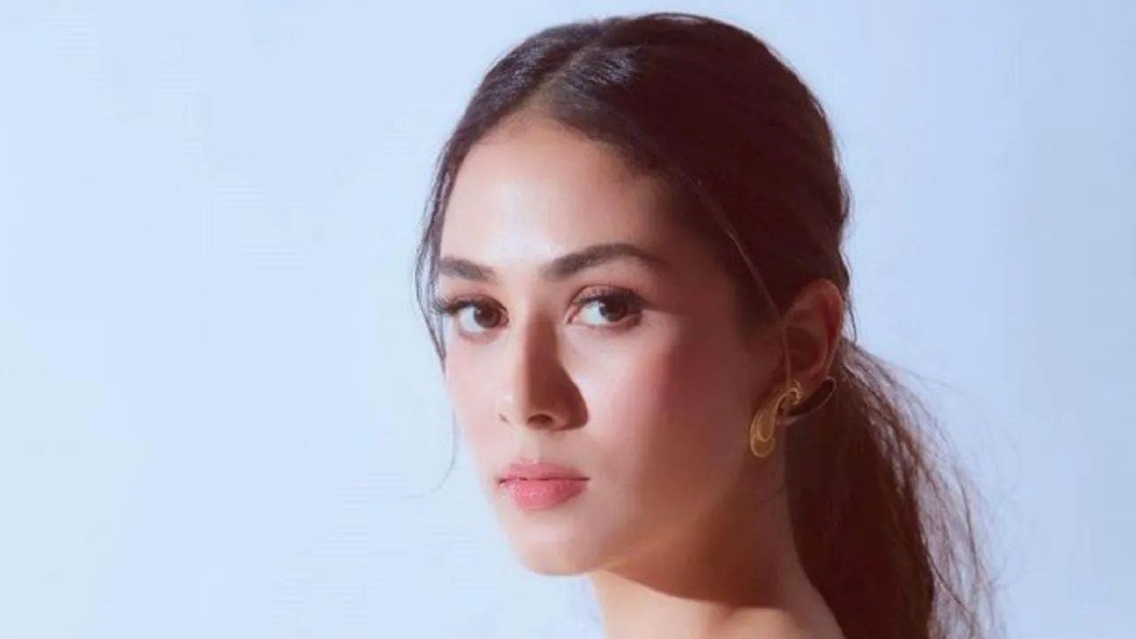 mira rajput badshah
