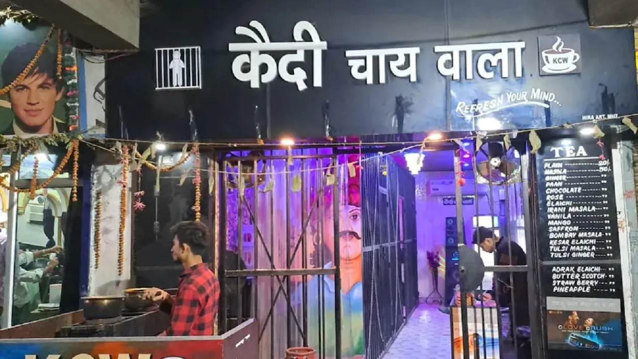 kaidi chaywala feature