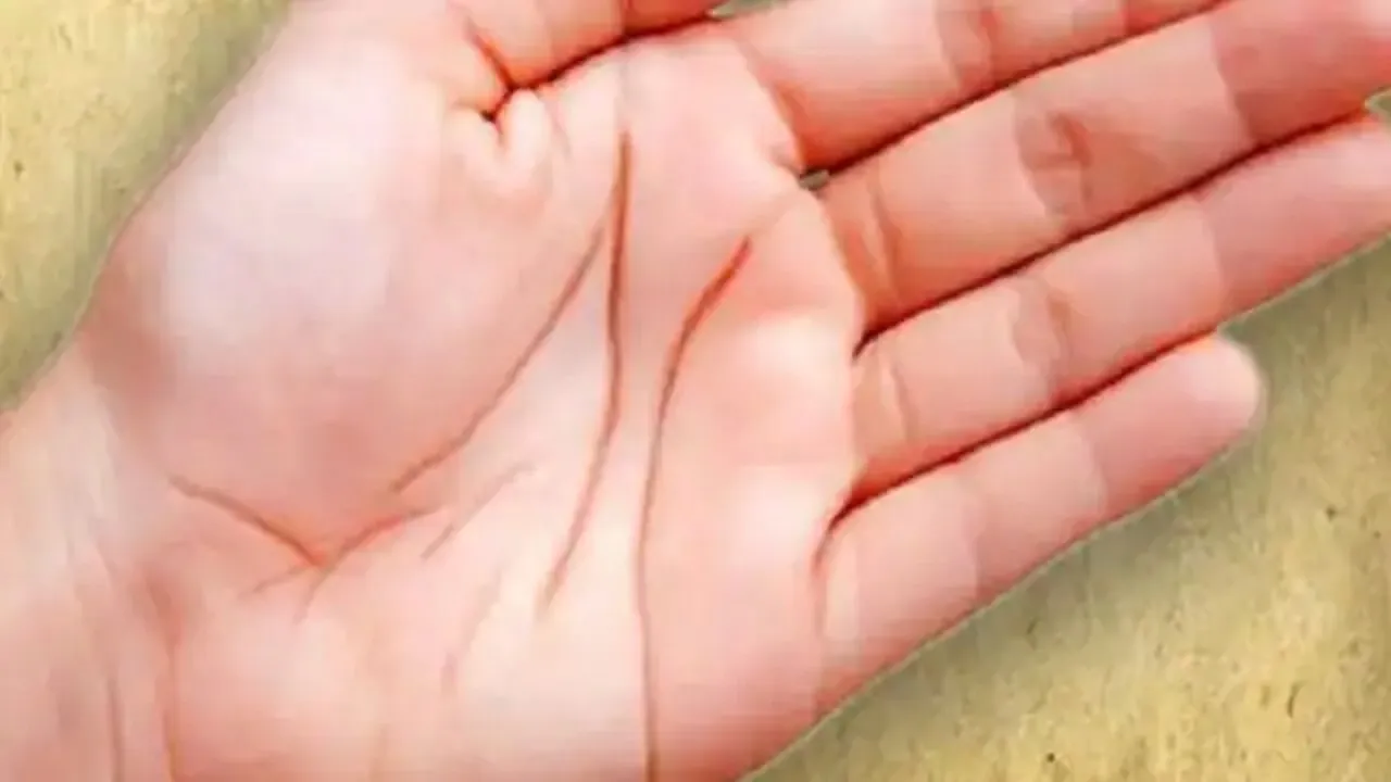 Palmistry 2022