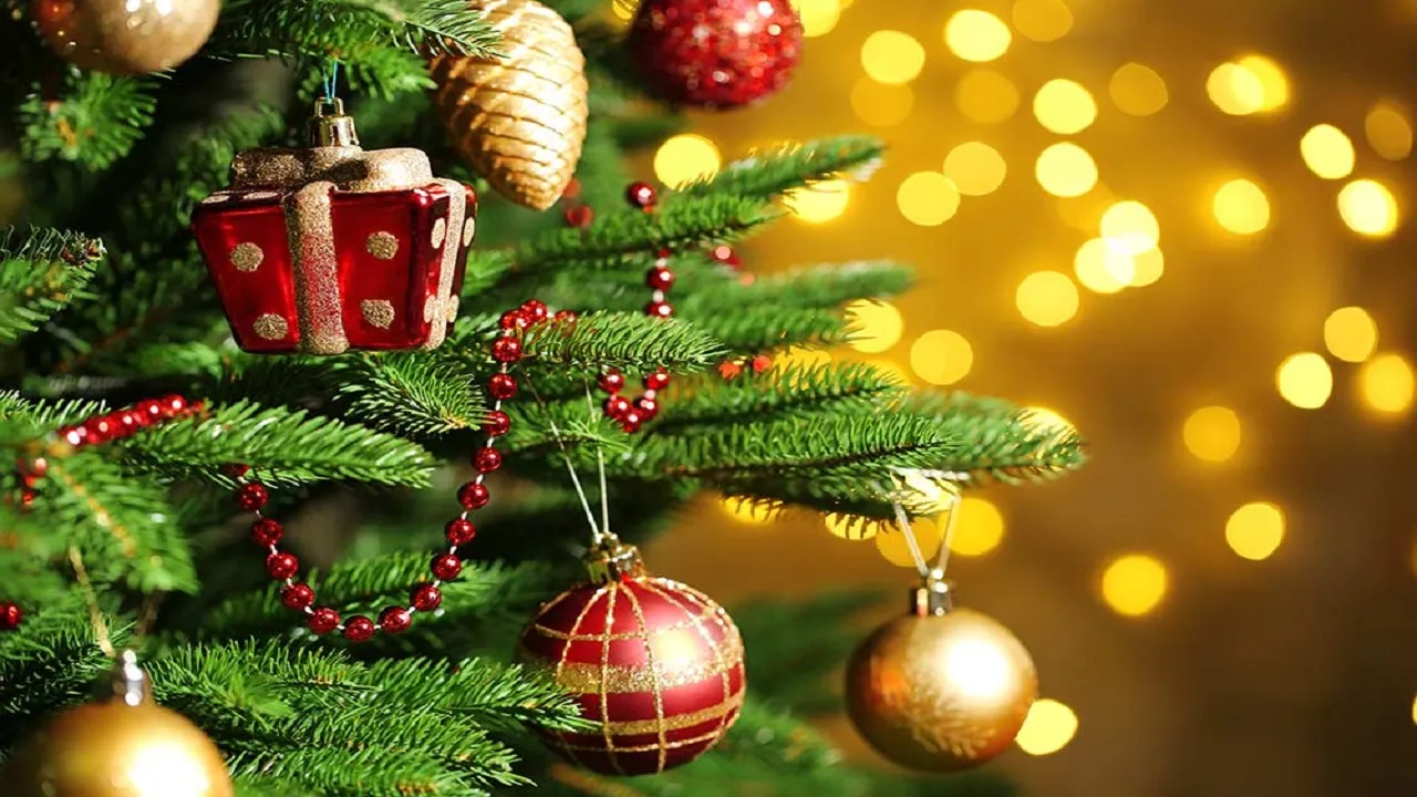 Merry Christmas 2022
