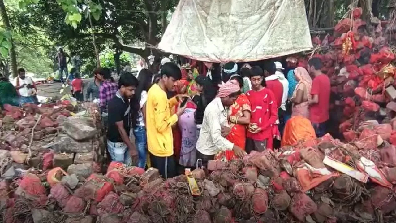 sahibganj brick
