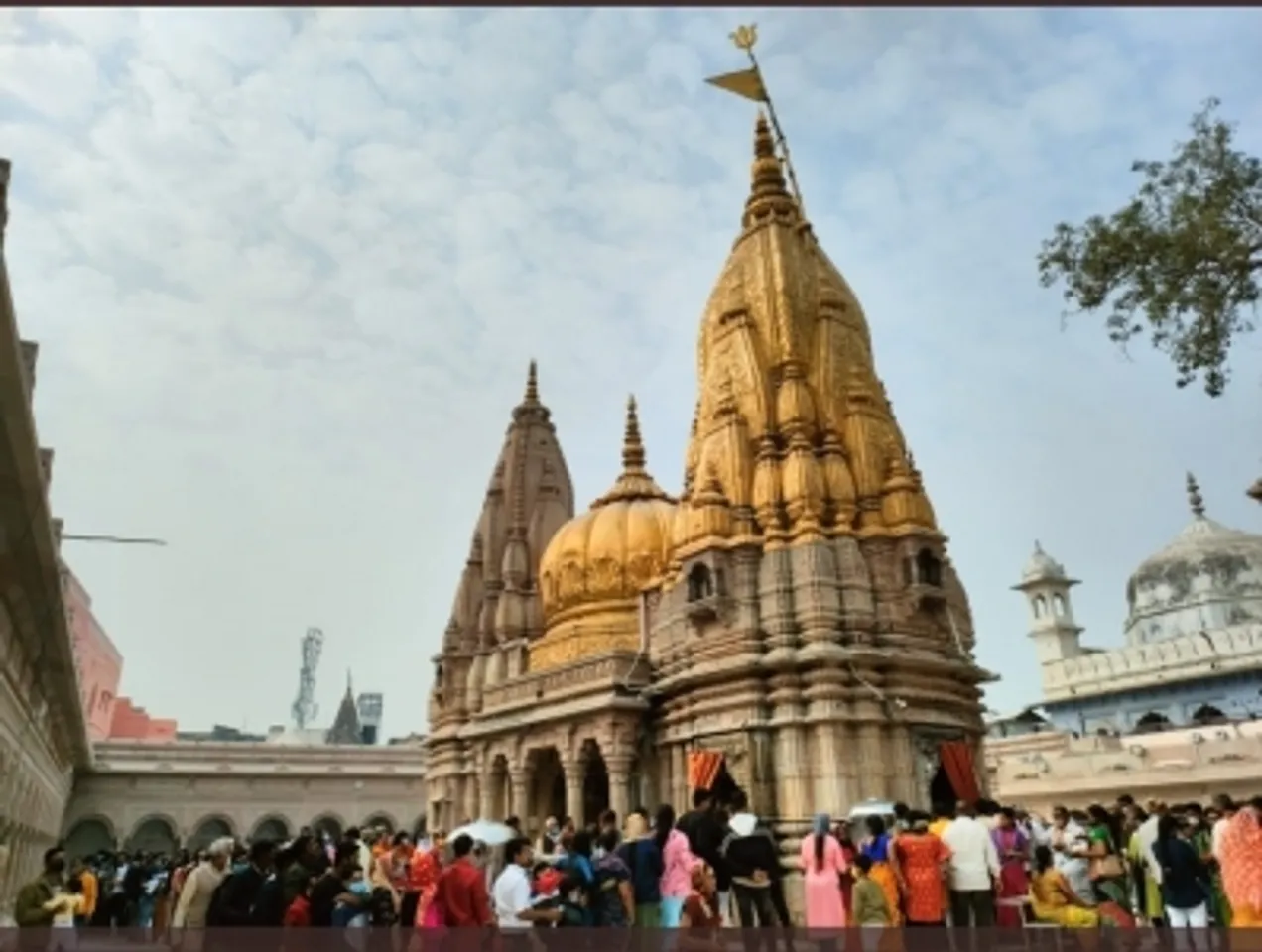 Kahi Vihwanath