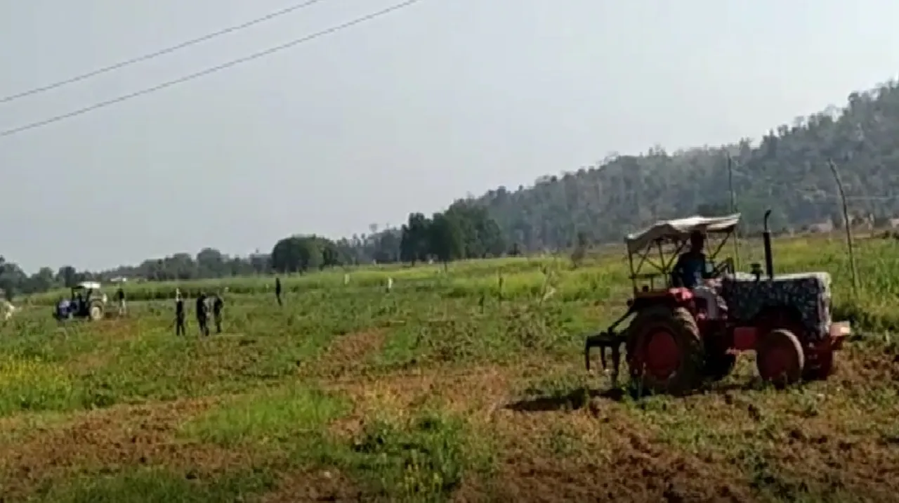 gaya afim