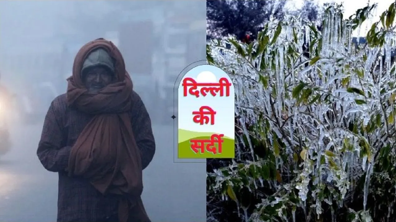 Delhi Cold Wave