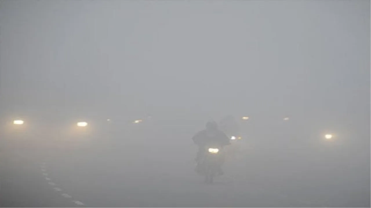 Fog