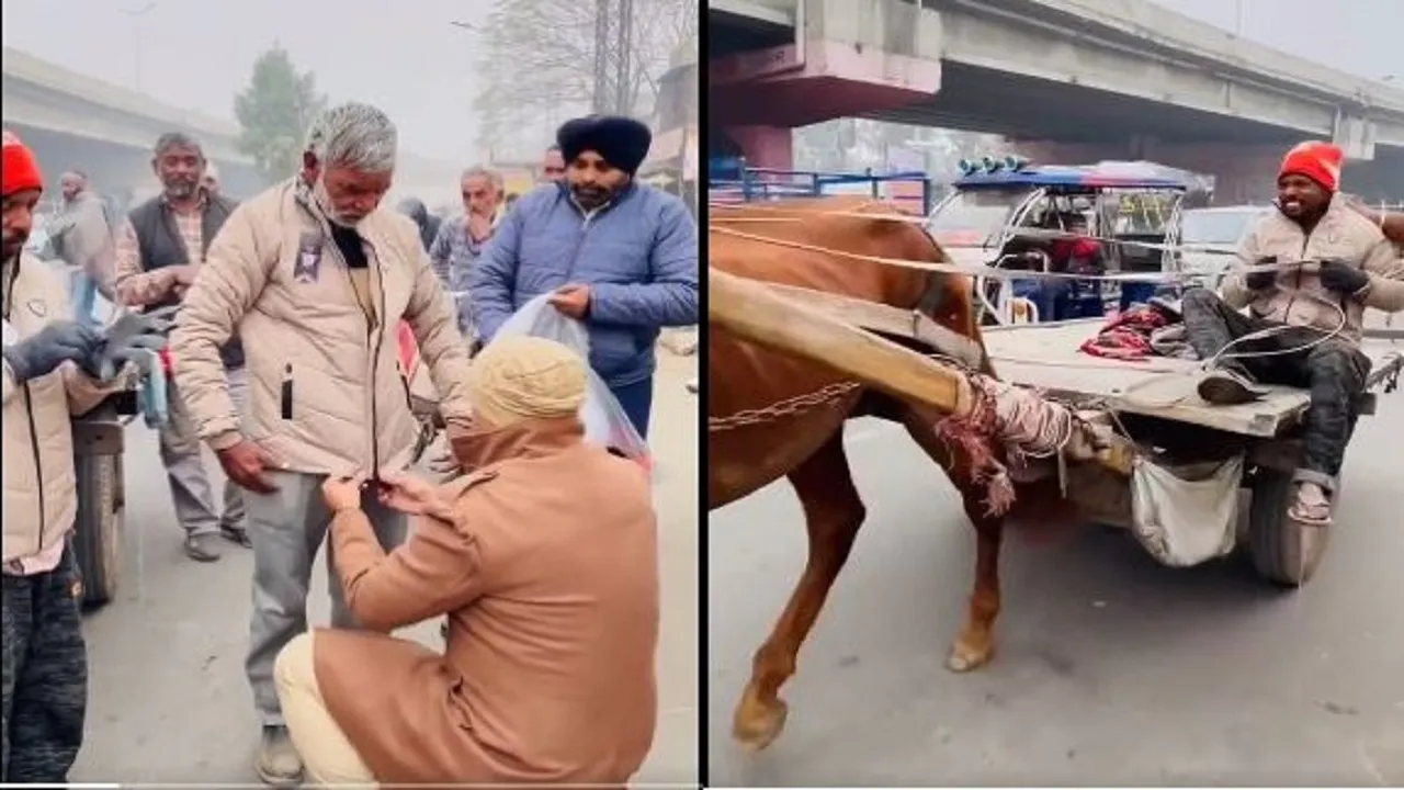 Social Media Viral Video