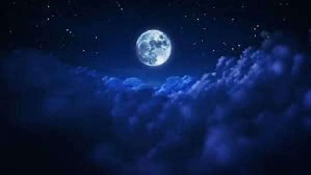 Dreames
