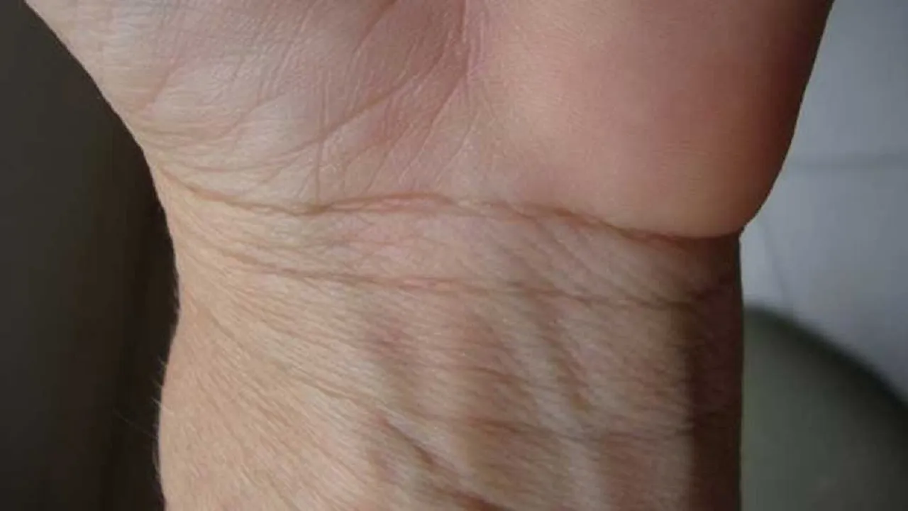 Palmistry 2023