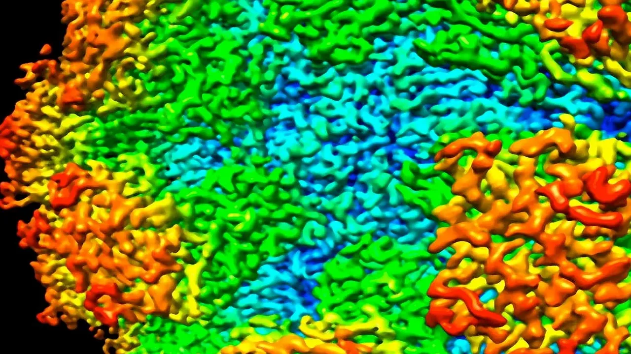 NoroVirus