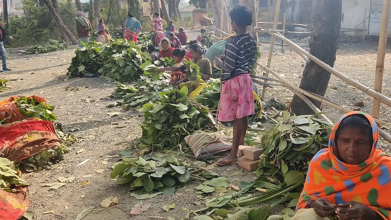 sahibganj patte