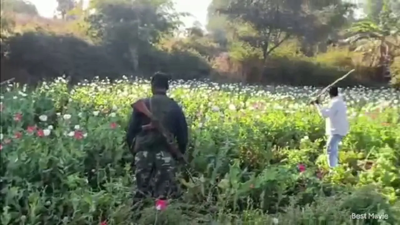 afim ki kheti