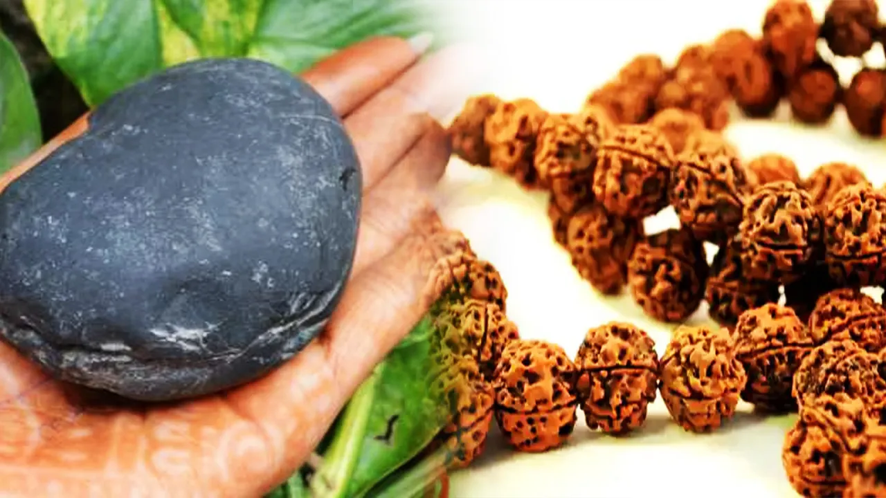 Shaligram And Ekmukhi Rudraksh