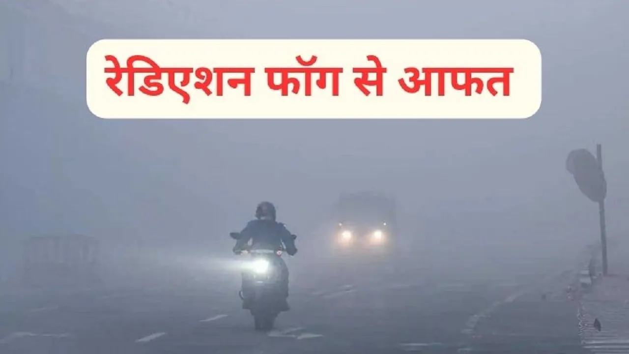 Radiation Fog