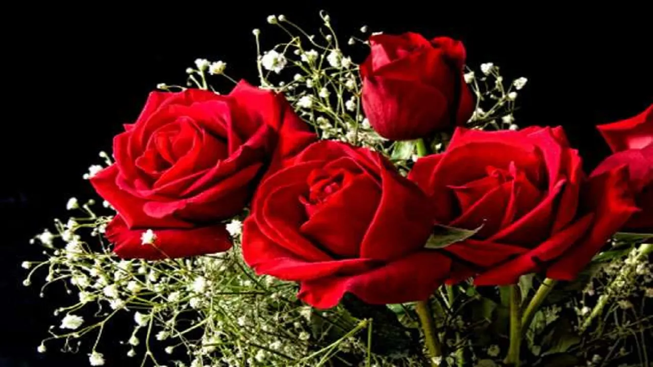 Vastu Tips Of Rose