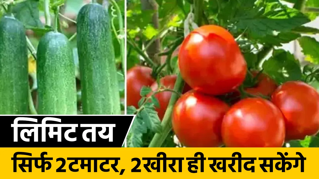 uk vegitable crisis