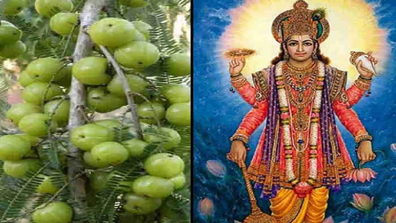 Rangbhari Ekadashi Upay 2023