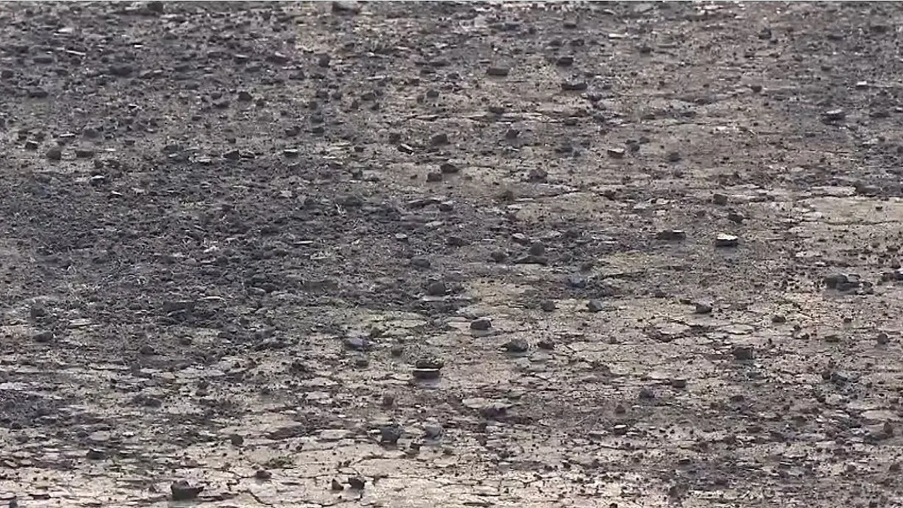 Indore Pitch