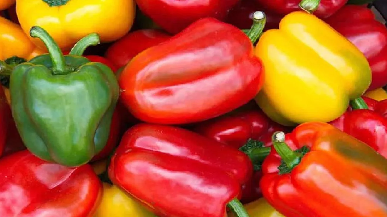 Benefits Of Capsicum