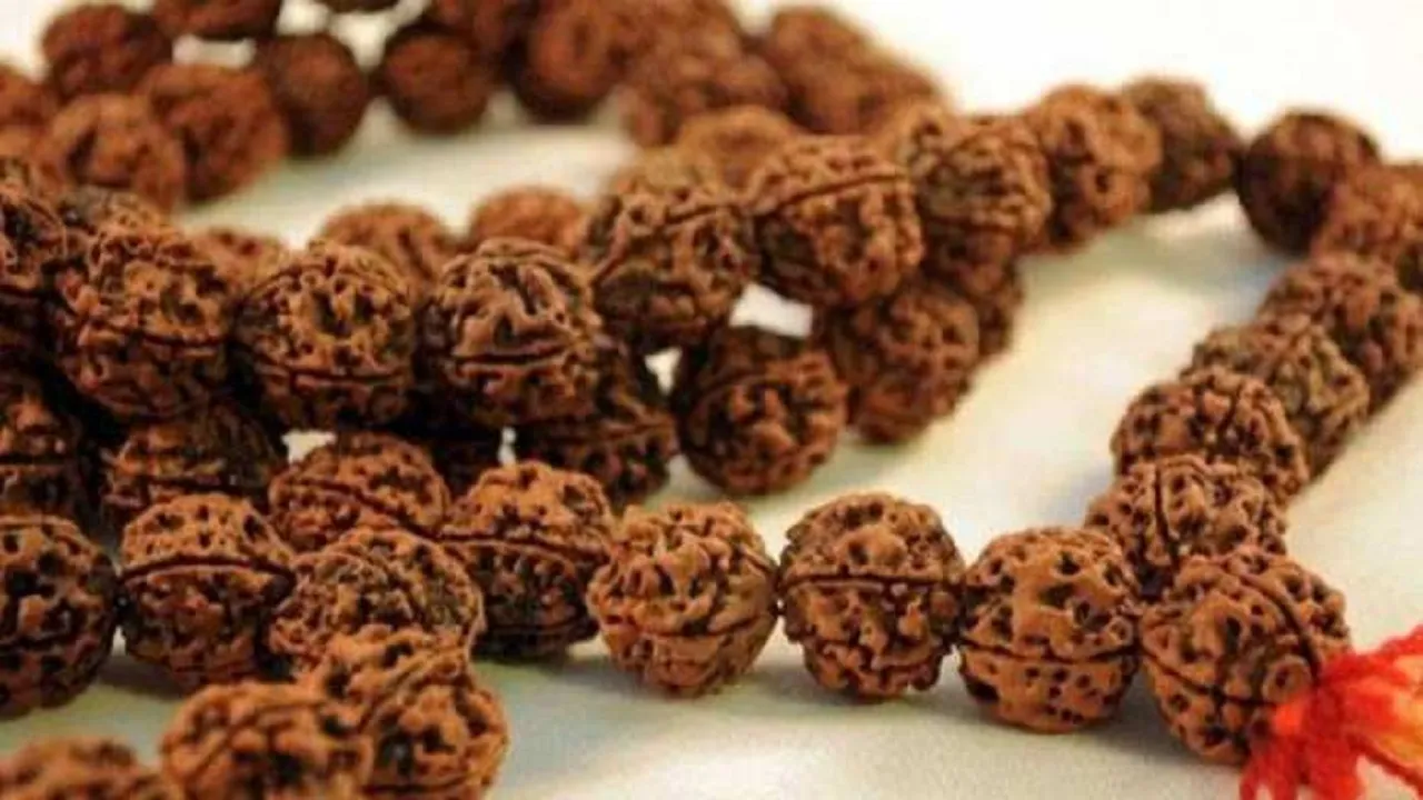 Rudraksha ke Niyam 2023