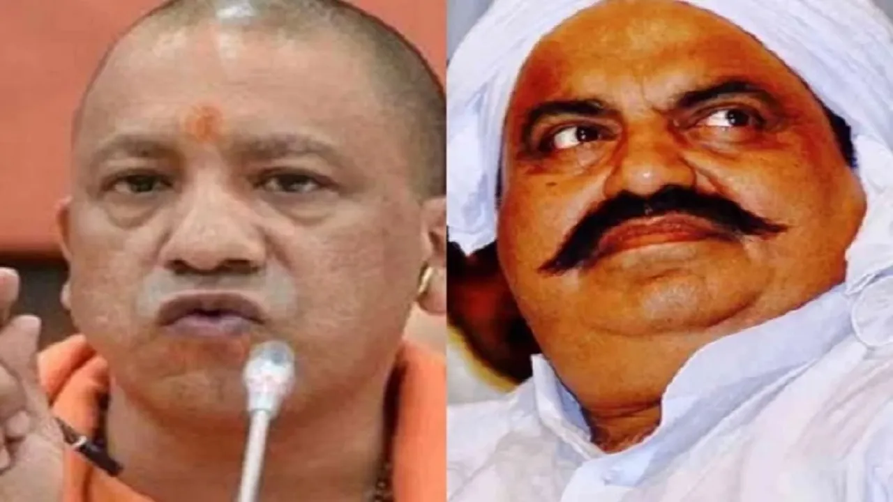 yogi Atique