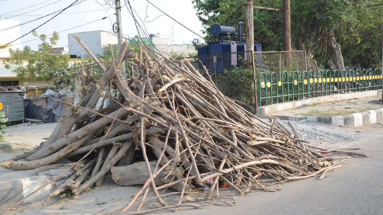Holika Dahan 2023