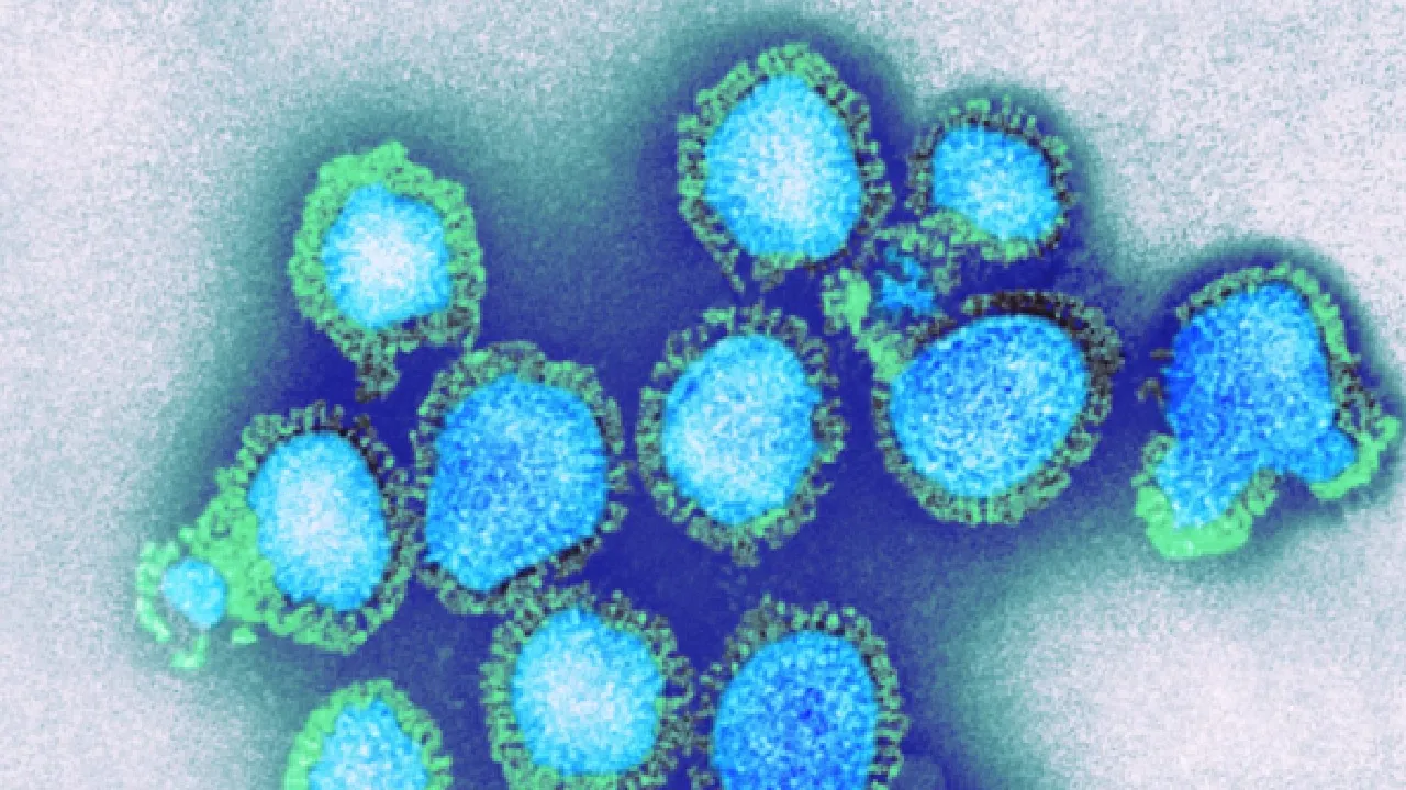 H3N2 Influenza