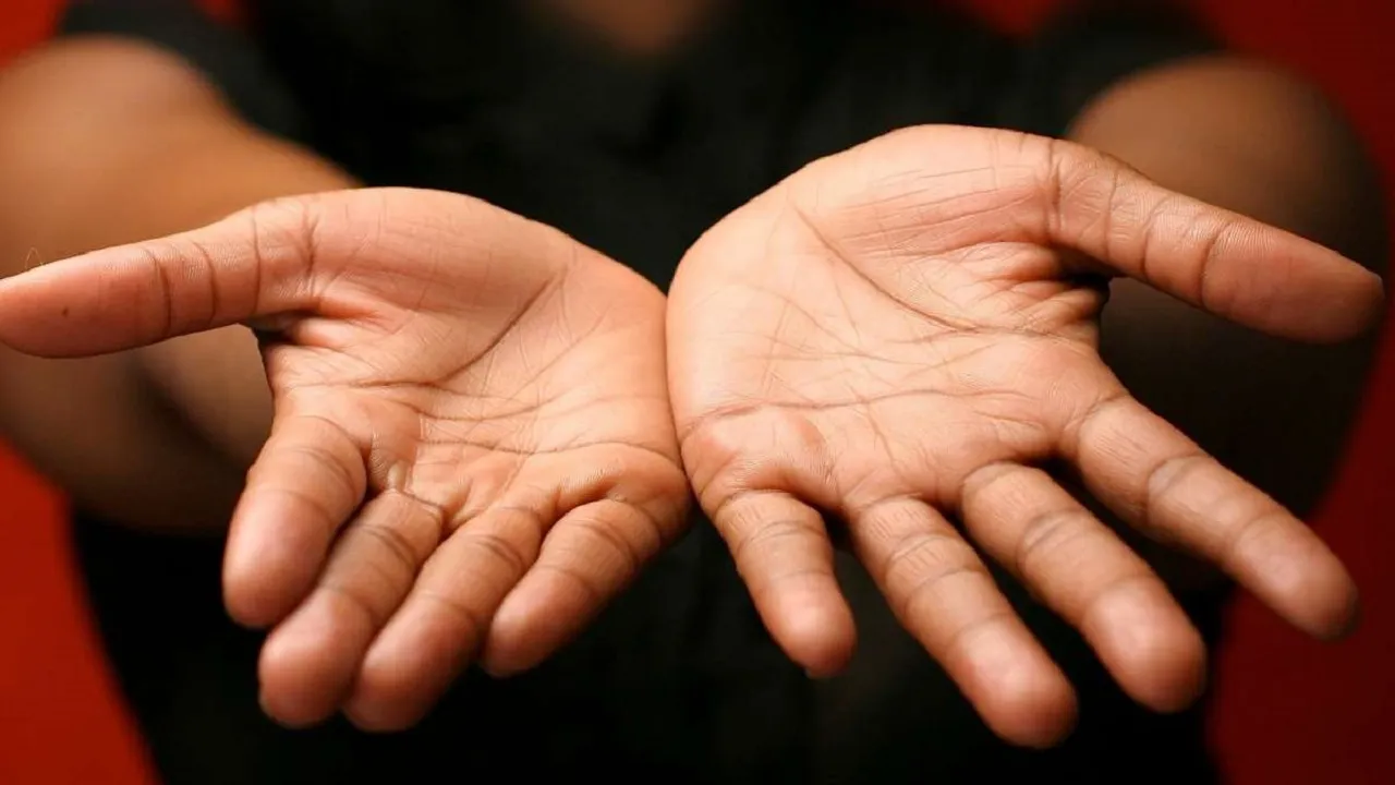 Palmistry 2023