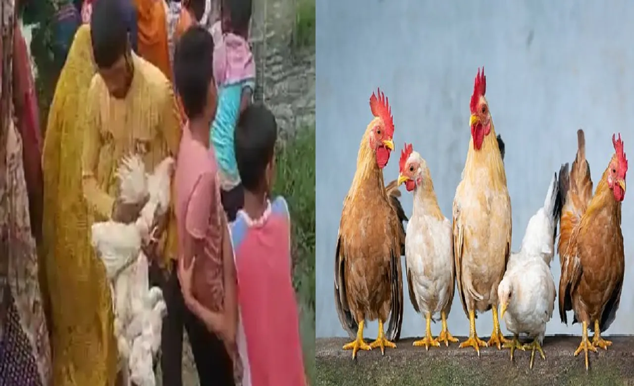 MURGA