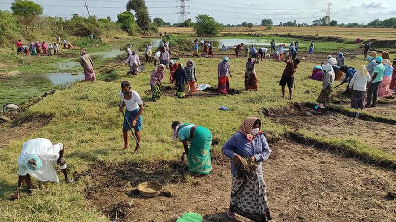 MNREGA