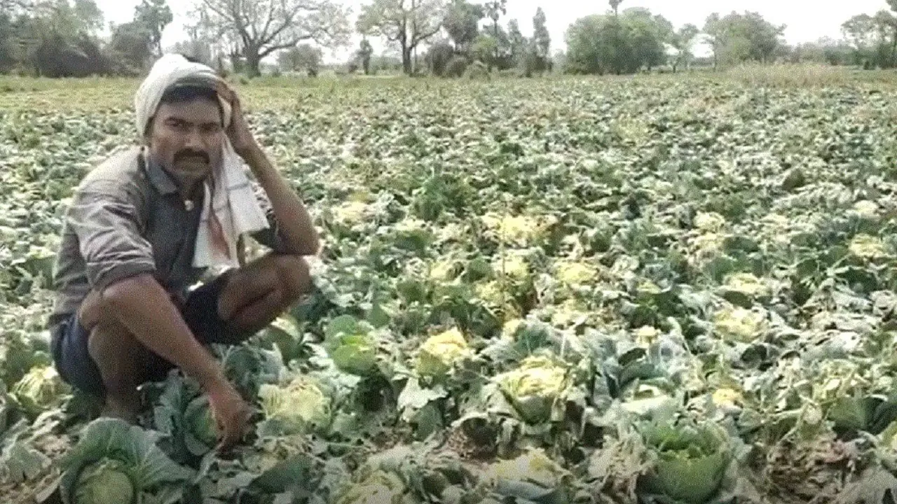 farmer