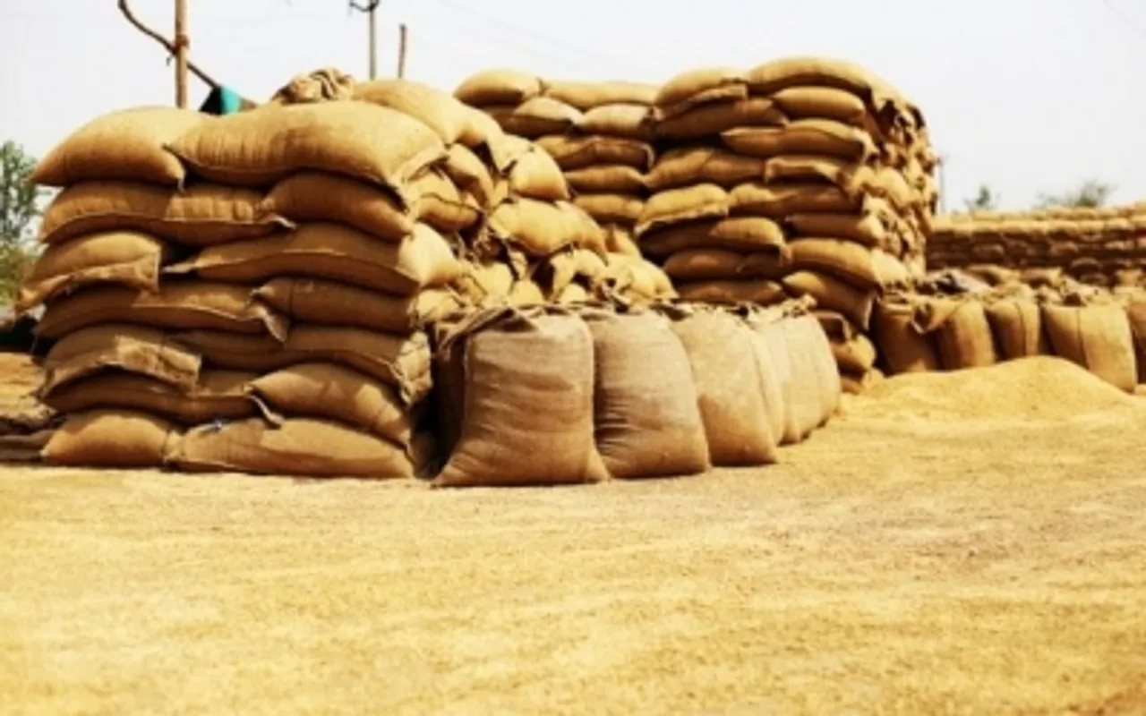 wheat export