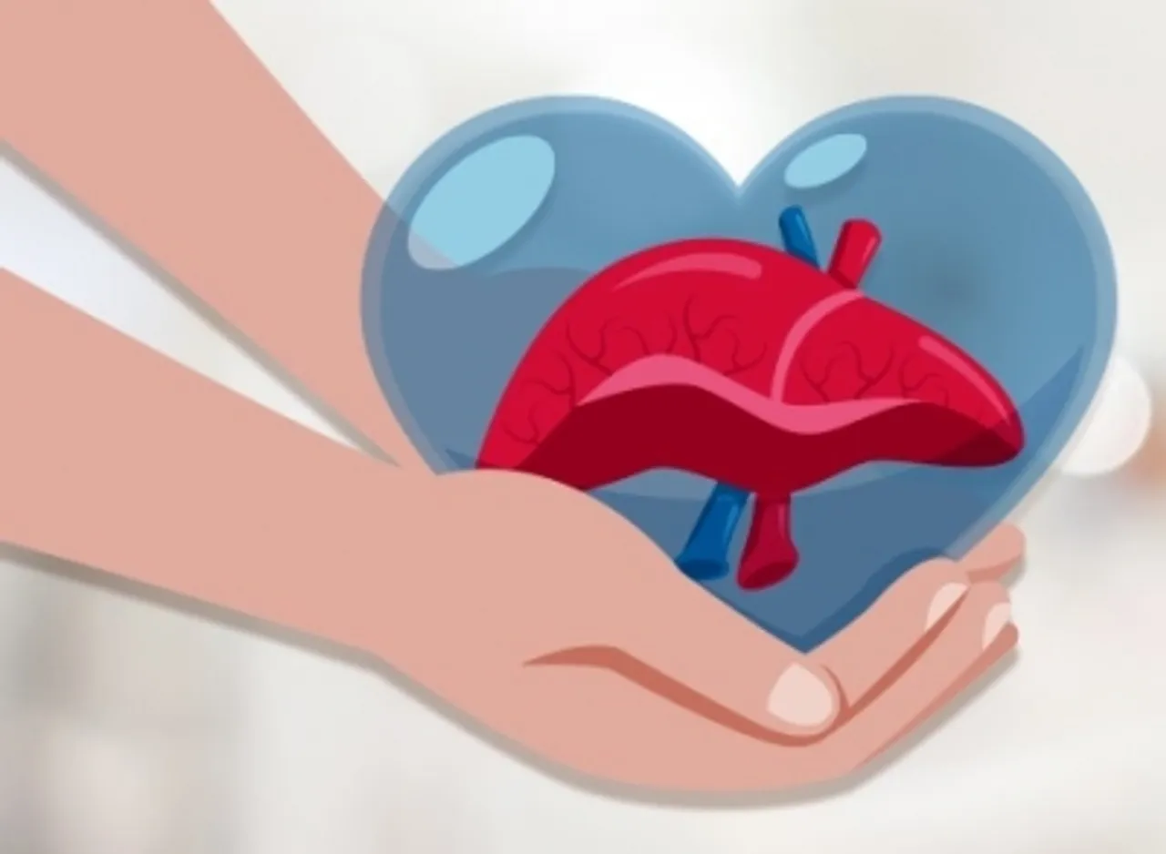 liver donate