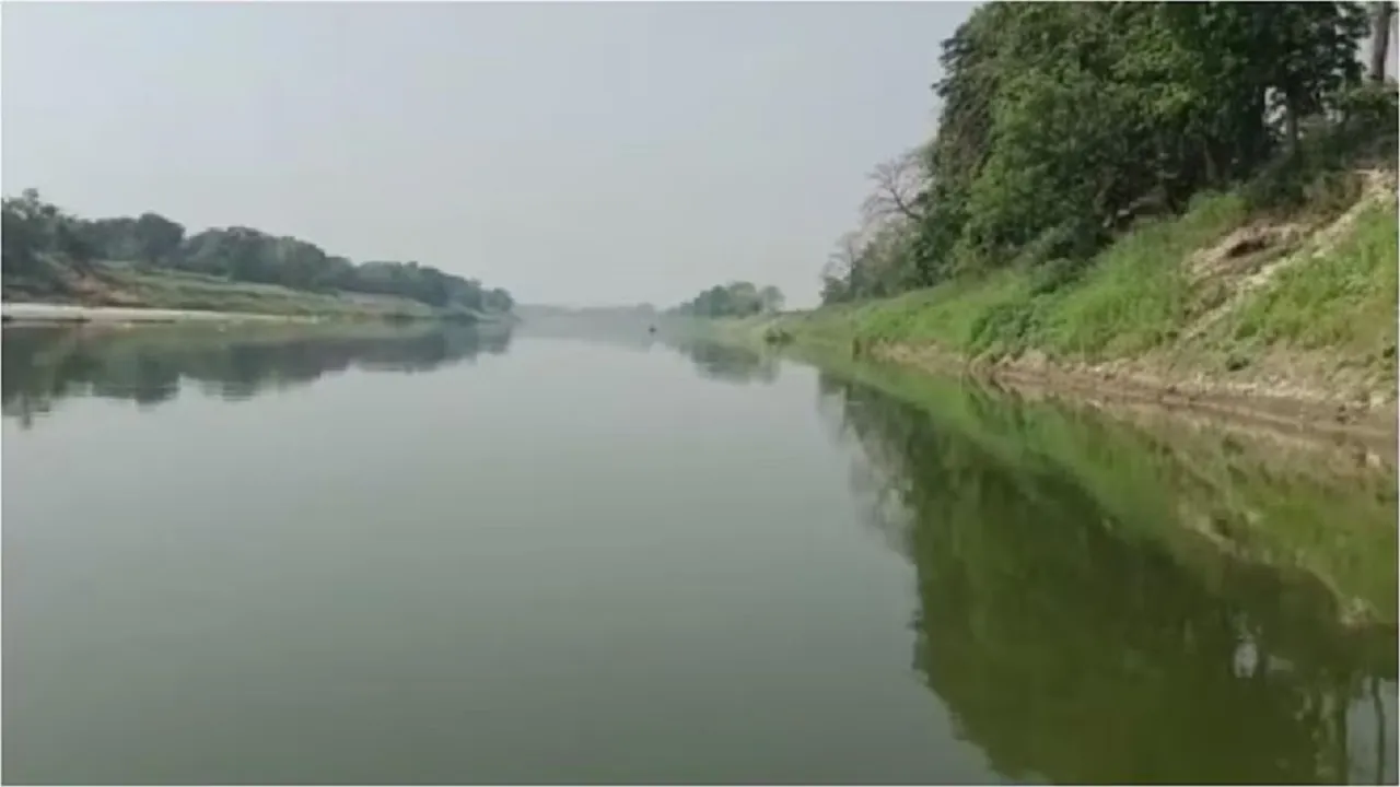 two brothers died