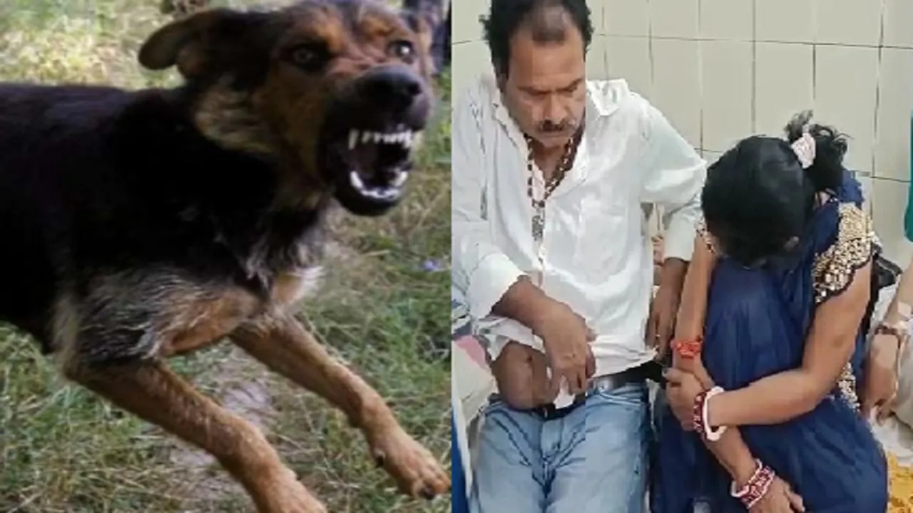Bihar Crime news