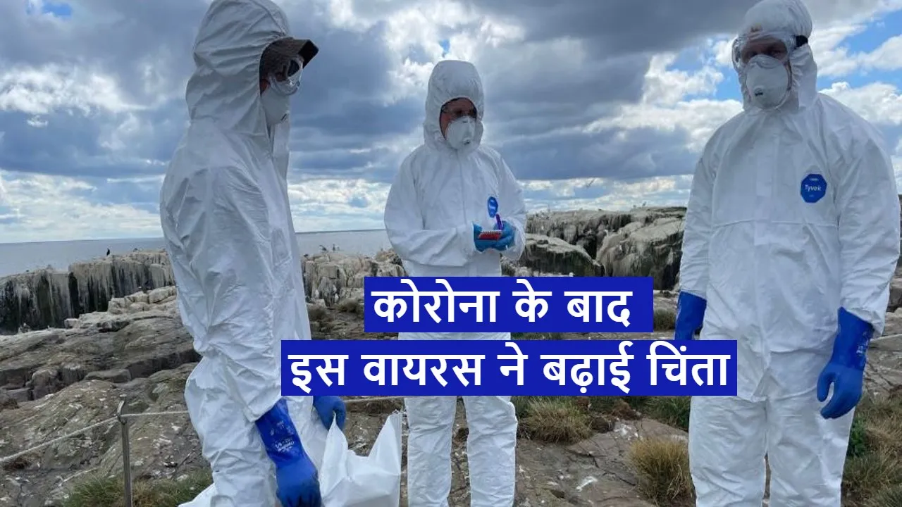 new virus in china