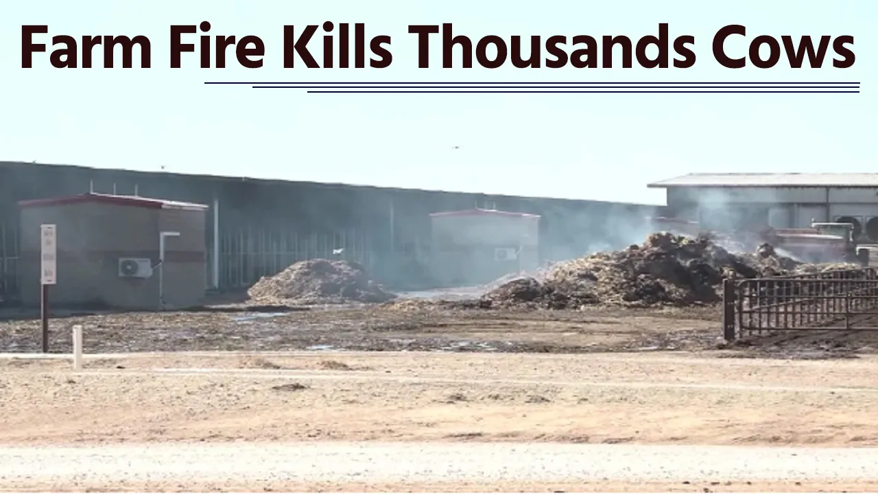 Farm Fire