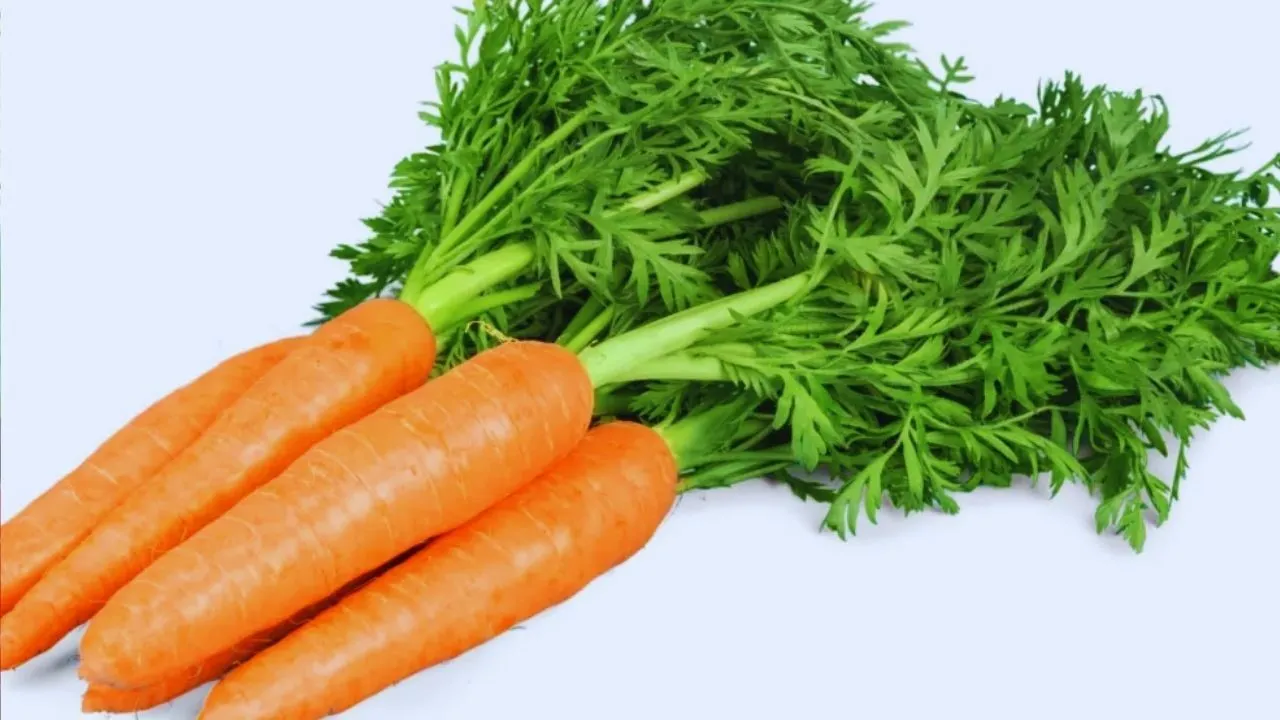 Carrots