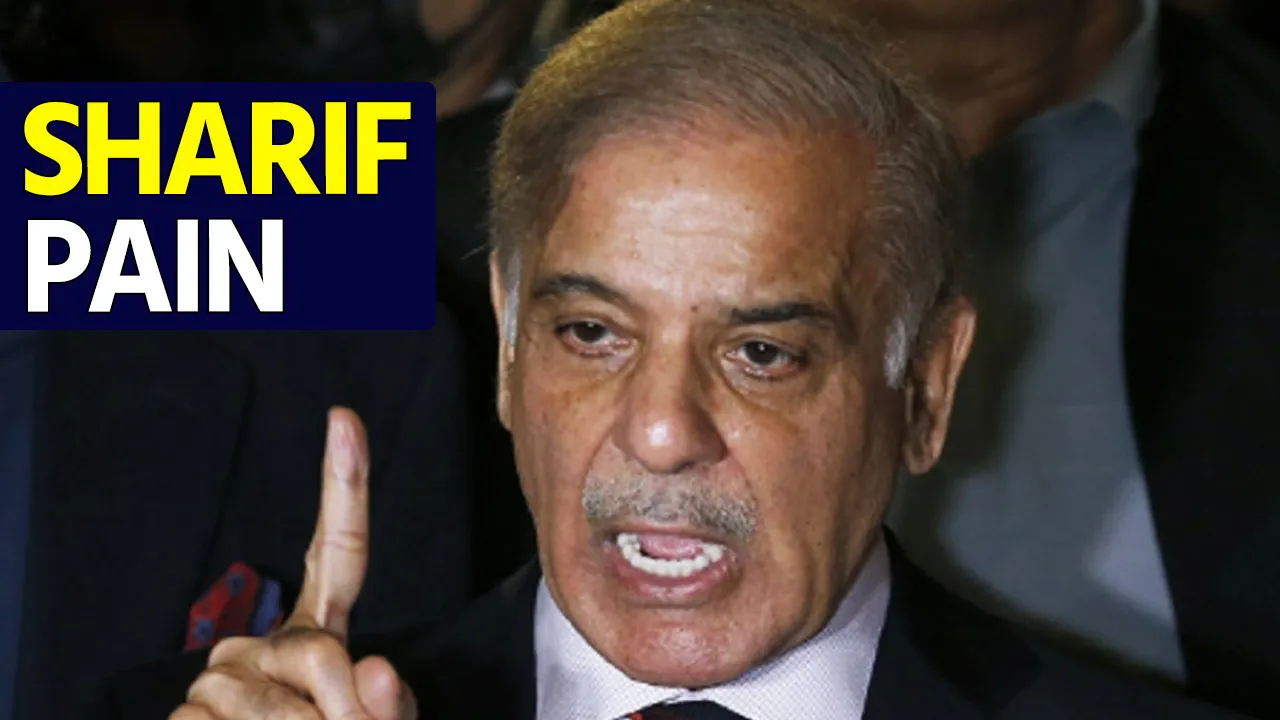 Shehbaz