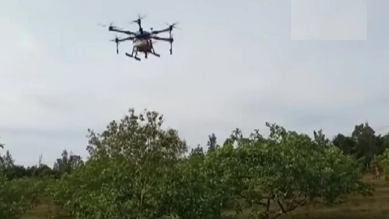 drone