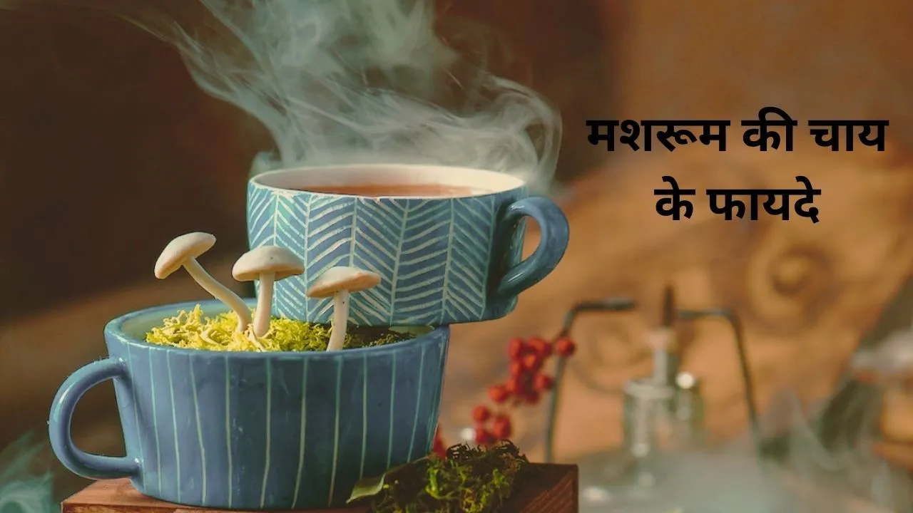 mushroom tea