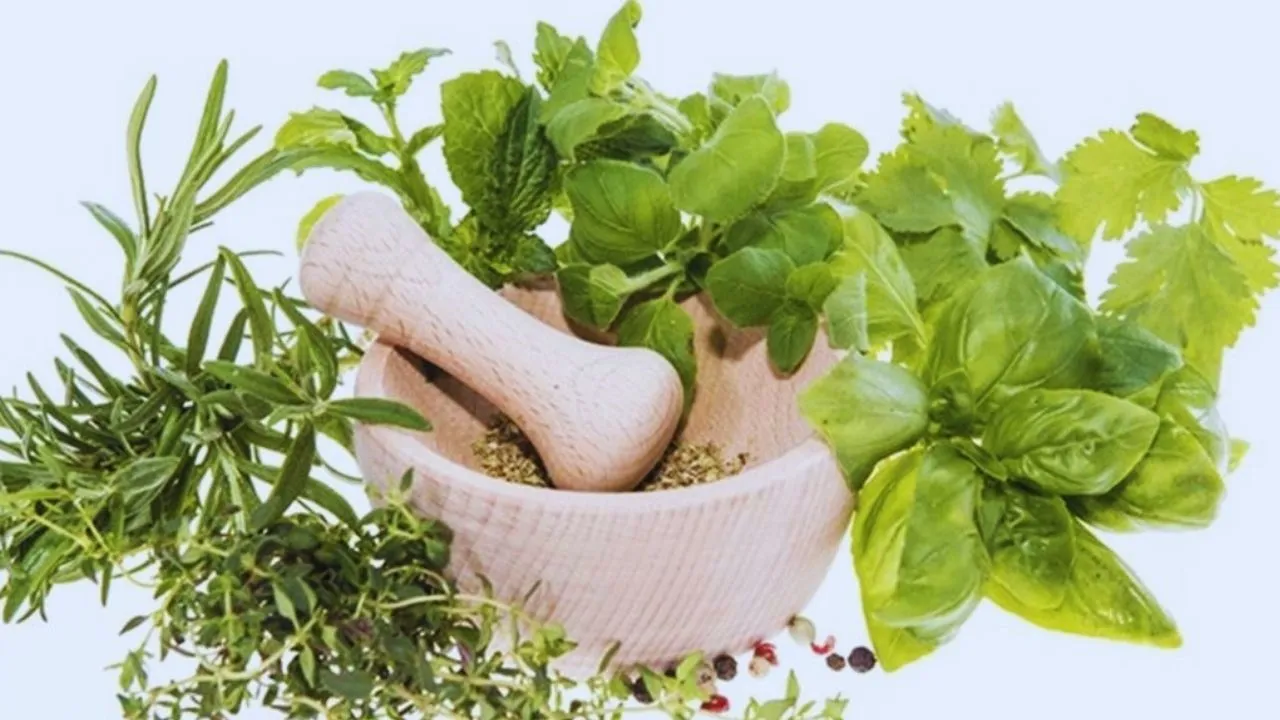 Ayurvedic Herbs