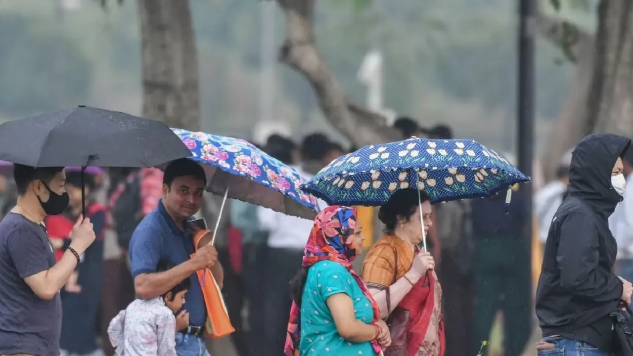 delhi weather