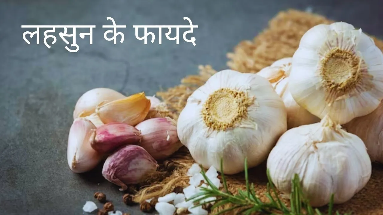 Garlic Health Benefits
