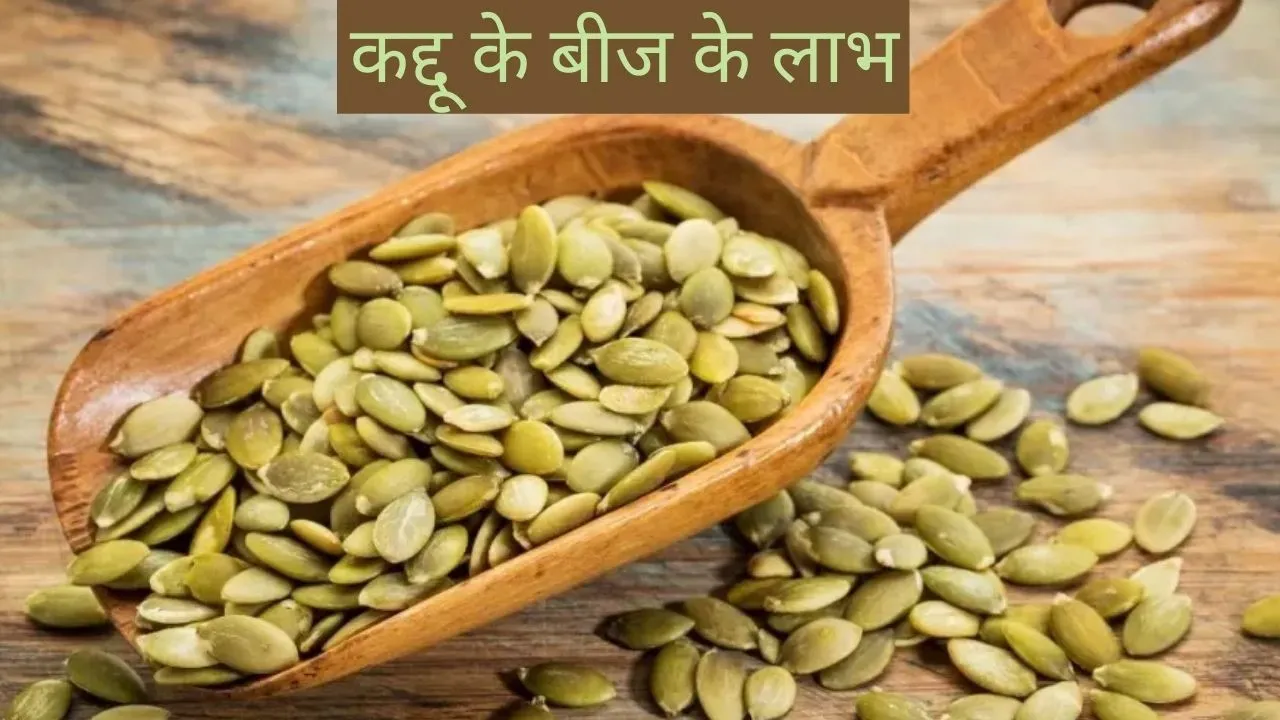 Pumpkin Seeds
