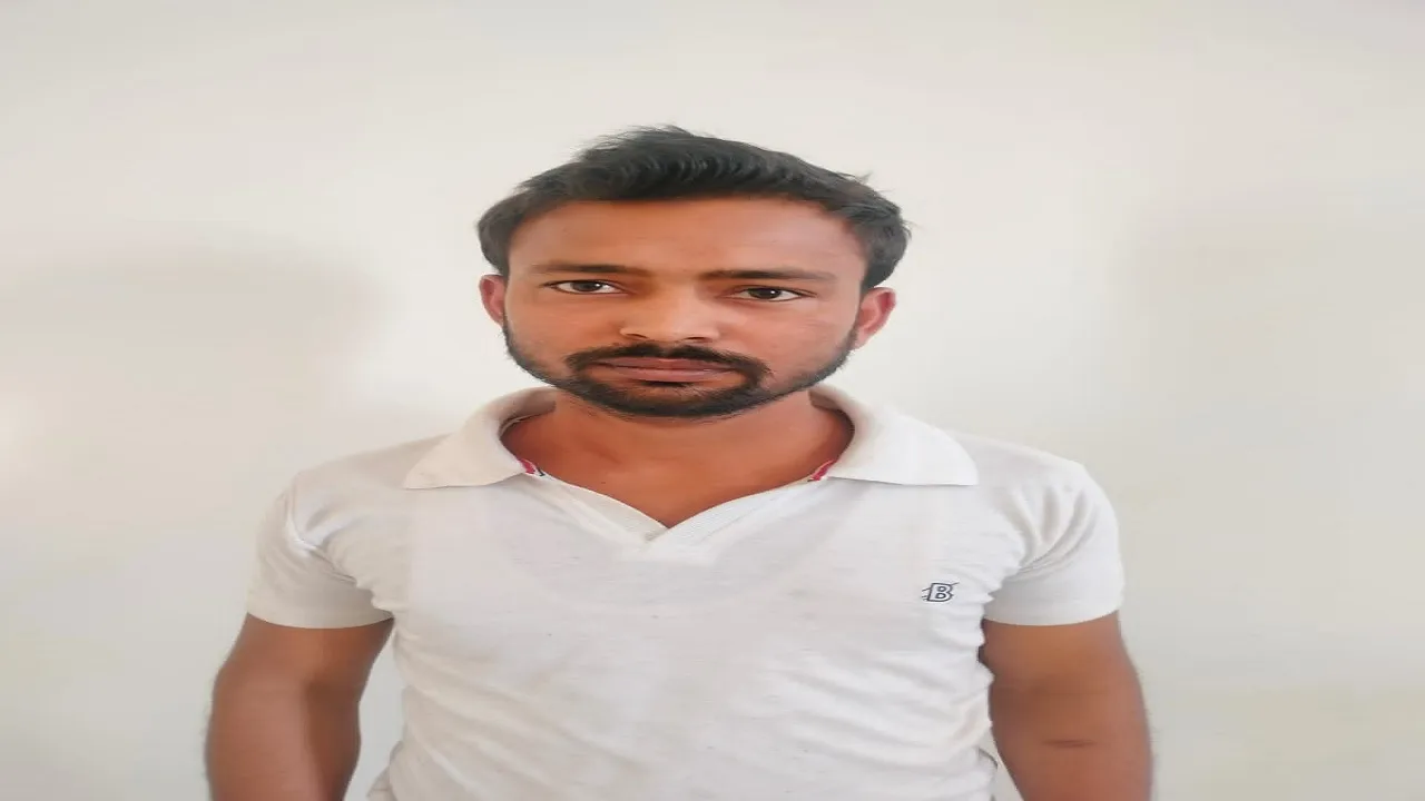 yuvak