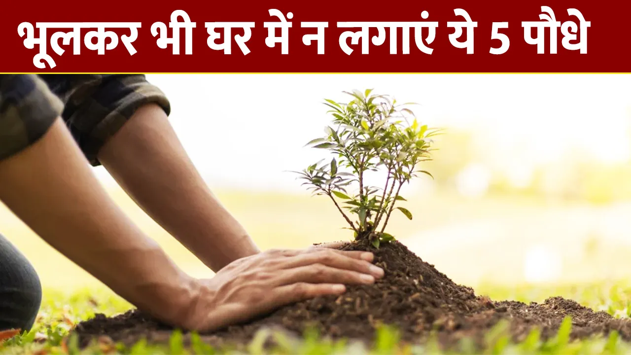 Home Vastu Tips