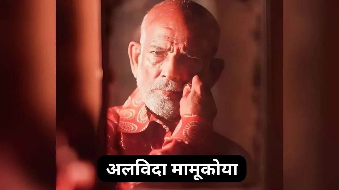 Mamukoya