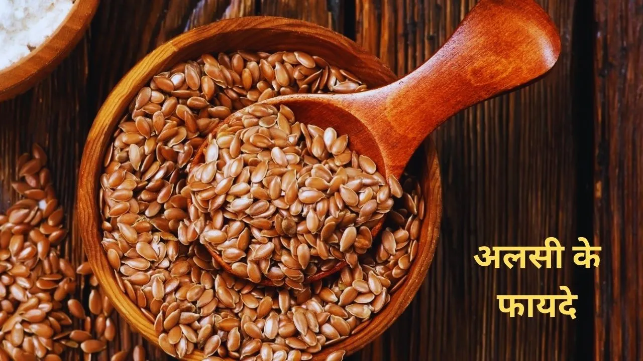 Flax Seeds