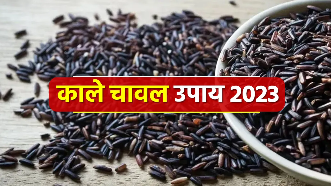 Black Rice Remedies 2023